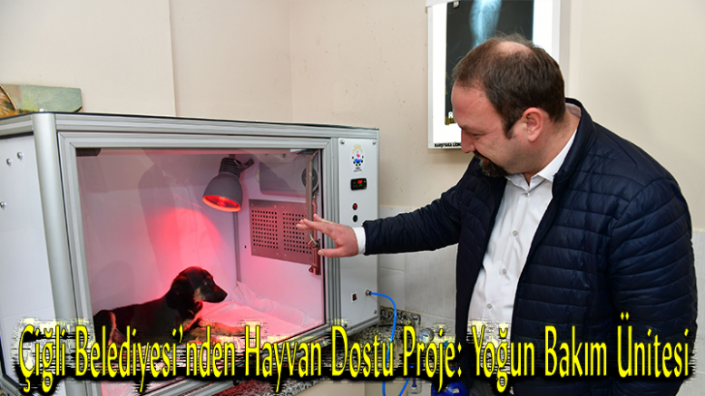 Çiğli Belediyesi’nden Hayvan Dostu Proje: Yoğun Bakım Ünitesi