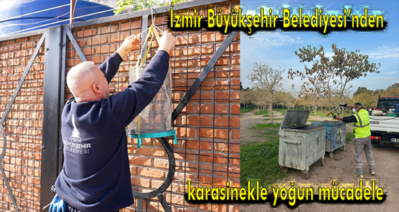 İzmir Büyükşehir Belediyesi’nden karasinekle yoğun mücadele