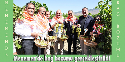 Menemen'de bağ bozumu gerçekleştirildi
